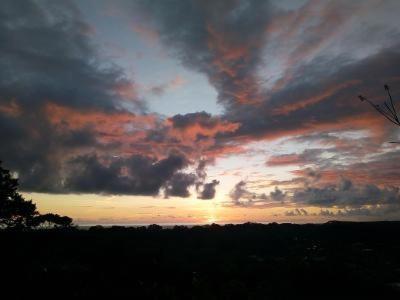 Forest Lodge Uvita Bagian luar foto